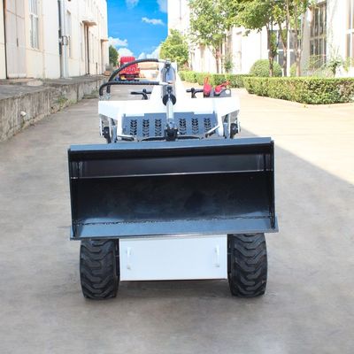 Υδραυλικός κύλινδρος Μίνι φορτιστή 1000kg 500kg 400kg με δωρεάν αποστολή